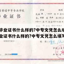 中专毕业证书什么样的?中专文凭怎么填（中专毕业证书什么样的?中专文凭怎么填写）