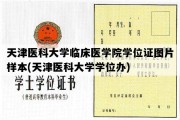 天津医科大学临床医学院学位证图片样本(天津医科大学学位办)