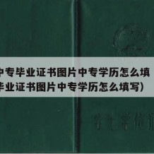 最新中专毕业证书图片中专学历怎么填（最新中专毕业证书图片中专学历怎么填写）