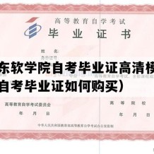 广东东软学院自考毕业证高清模板（广东自考毕业证如何购买）