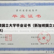 新加坡国立大学毕业证书（新加坡国立大学学位证书）