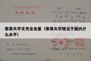 泰莱大学文凭含金量（泰莱大学相当于国内什么水平）