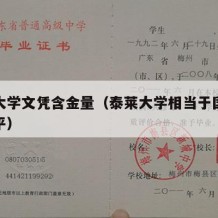 泰莱大学文凭含金量（泰莱大学相当于国内什么水平）