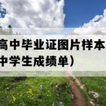 阳新县高中毕业证图片样本(八十年代老高中学生成绩单）