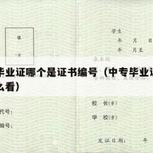 中专毕业证哪个是证书编号（中专毕业证书编号怎么看）