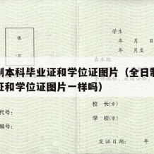 全日制本科毕业证和学位证图片（全日制本科毕业证和学位证图片一样吗）