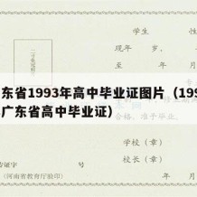 广东省1993年高中毕业证图片（1994年广东省高中毕业证）