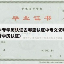 外省中专学历认证去哪里认证中专文凭呢（跨省中专学历认证）