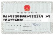 职业中专学历证书模板中专学历怎么写（中专学历证书什么样的）