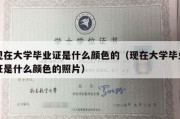 现在大学毕业证是什么颜色的（现在大学毕业证是什么颜色的照片）