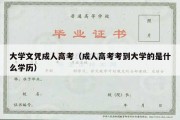 大学文凭成人高考（成人高考考到大学的是什么学历）