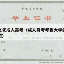 大学文凭成人高考（成人高考考到大学的是什么学历）