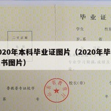 2020年本科毕业证图片（2020年毕业证书图片）