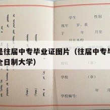 什么是往届中专毕业证图片（往届中专毕业怎么读全日制大学）