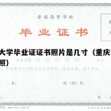 重庆大学毕业证证书照片是几寸（重庆大学 毕业照）