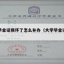 大学毕业证损坏了怎么补办（大学毕业证破损）