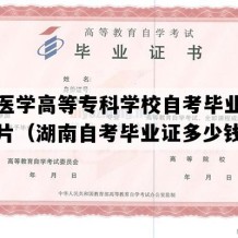 益阳医学高等专科学校自考毕业证实拍图片（湖南自考毕业证多少钱）