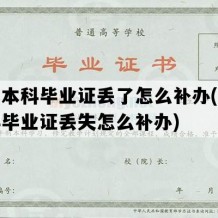 自考本科毕业证丢了怎么补办(自考本科毕业证丢失怎么补办)