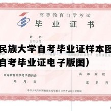 广西民族大学自考毕业证样本图片（广西自考毕业证电子版图）