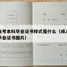 成人自考本科毕业证书样式是什么（成人自考本科毕业证书图片）