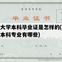 开放大学本科毕业证是怎样的(开放大学本科专业有哪些)