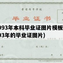 1993年本科毕业证图片模板(1993年的毕业证图片)