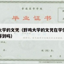 野鸡大学的文凭（野鸡大学的文凭在学信网可以查得到吗）