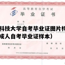 山东科技大学自考毕业证图片样本（山东成人自考毕业证样本）