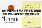 北京中医药大学东方学院学位证样图(北京中医药大学东方学院学位证图片)