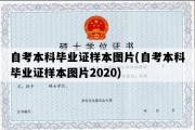 自考本科毕业证样本图片(自考本科毕业证样本图片2020)