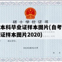 自考本科毕业证样本图片(自考本科毕业证样本图片2020)