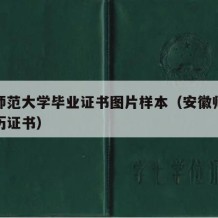 安徽师范大学毕业证书图片样本（安徽师范大学学历证书）