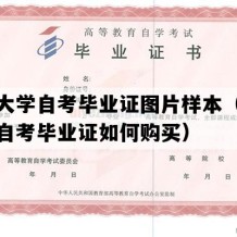 广州大学自考毕业证图片样本（广东成人自考毕业证如何购买）