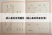 成人本科文凭图片（成人本科毕业文凭）