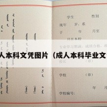 成人本科文凭图片（成人本科毕业文凭）