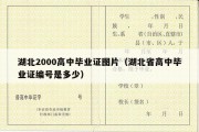 湖北2000高中毕业证图片（湖北省高中毕业证编号是多少）