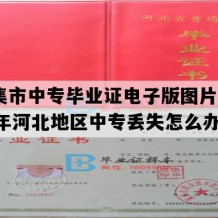 辛集市中专毕业证电子版图片(2004年河北地区中专丢失怎么办）