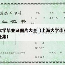 上海大学毕业证图片大全（上海大学毕业证图片大全集）