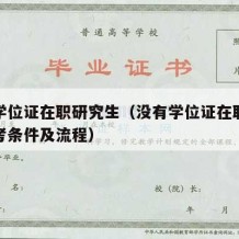 没有学位证在职研究生（没有学位证在职研究生报考条件及流程）