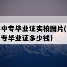 龙州县中专毕业证实拍图片(八十年代老中专毕业证多少钱）