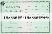 本科文凭出国留学（本科文凭出国留学难吗）