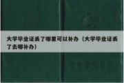 大学毕业证丢了哪里可以补办（大学毕业证丢了去哪补办）