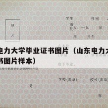 山东电力大学毕业证书图片（山东电力大学毕业证书图片样本）