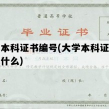 大学本科证书编号(大学本科证书编号是什么)