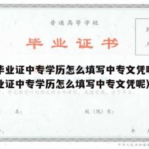 中专毕业证中专学历怎么填写中专文凭呢（中专毕业证中专学历怎么填写中专文凭呢）