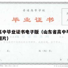 山东高中毕业证书电子版（山东省高中毕业证模板图片）