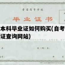 自考本科毕业证如何购买(自考本科毕业证查询网站)