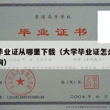 大学毕业证从哪里下载（大学毕业证怎么在网上查询）