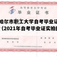 齐齐哈尔市职工大学自考毕业证高清模板（2021年自考毕业证实拍图片）