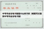 中专毕业证电子版是什么样子的（哪里可以查到中专毕业证电子版）